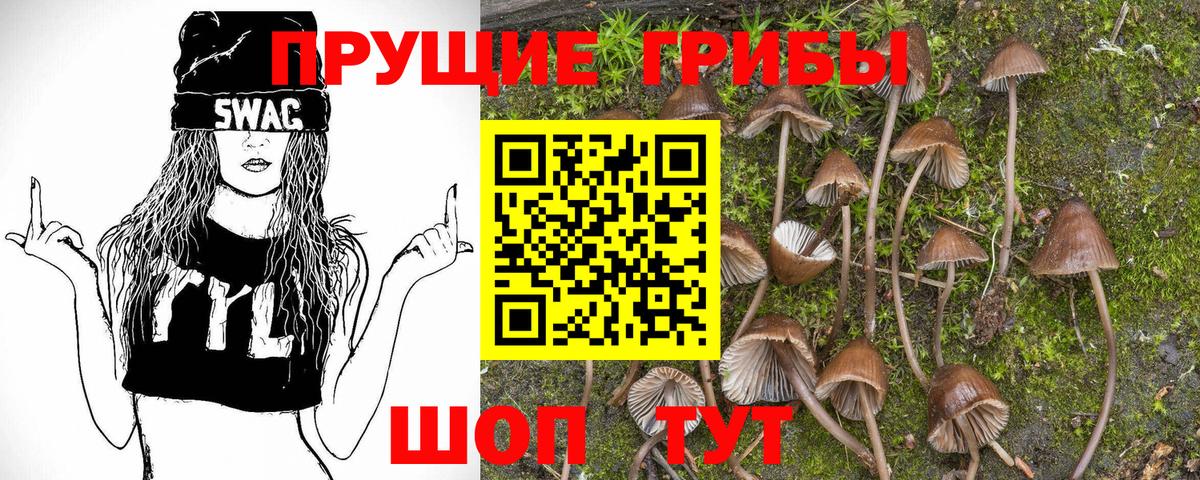 Галлюциногенные грибы Magic Shrooms Арзамас