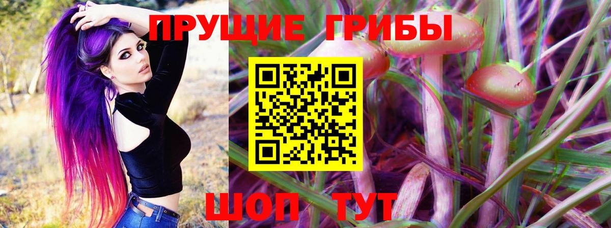 Псилоцибиновые грибы мухоморы  Псилоцибиновые грибы Psilocybine cubensis  Арзамас  Вход с VPN 
